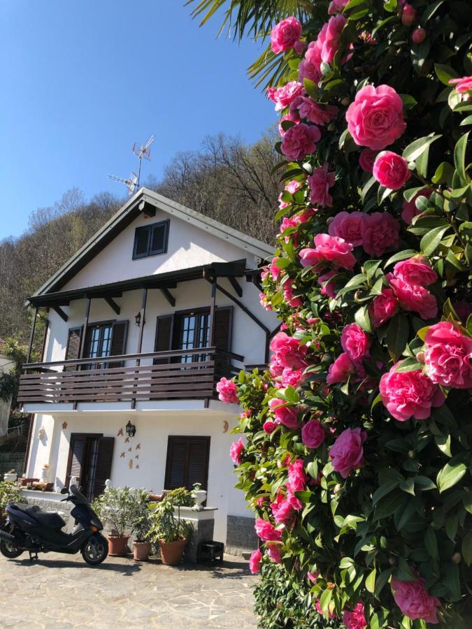 Casa Delle Azalee Villa Gravellona Toce Exteriör bild